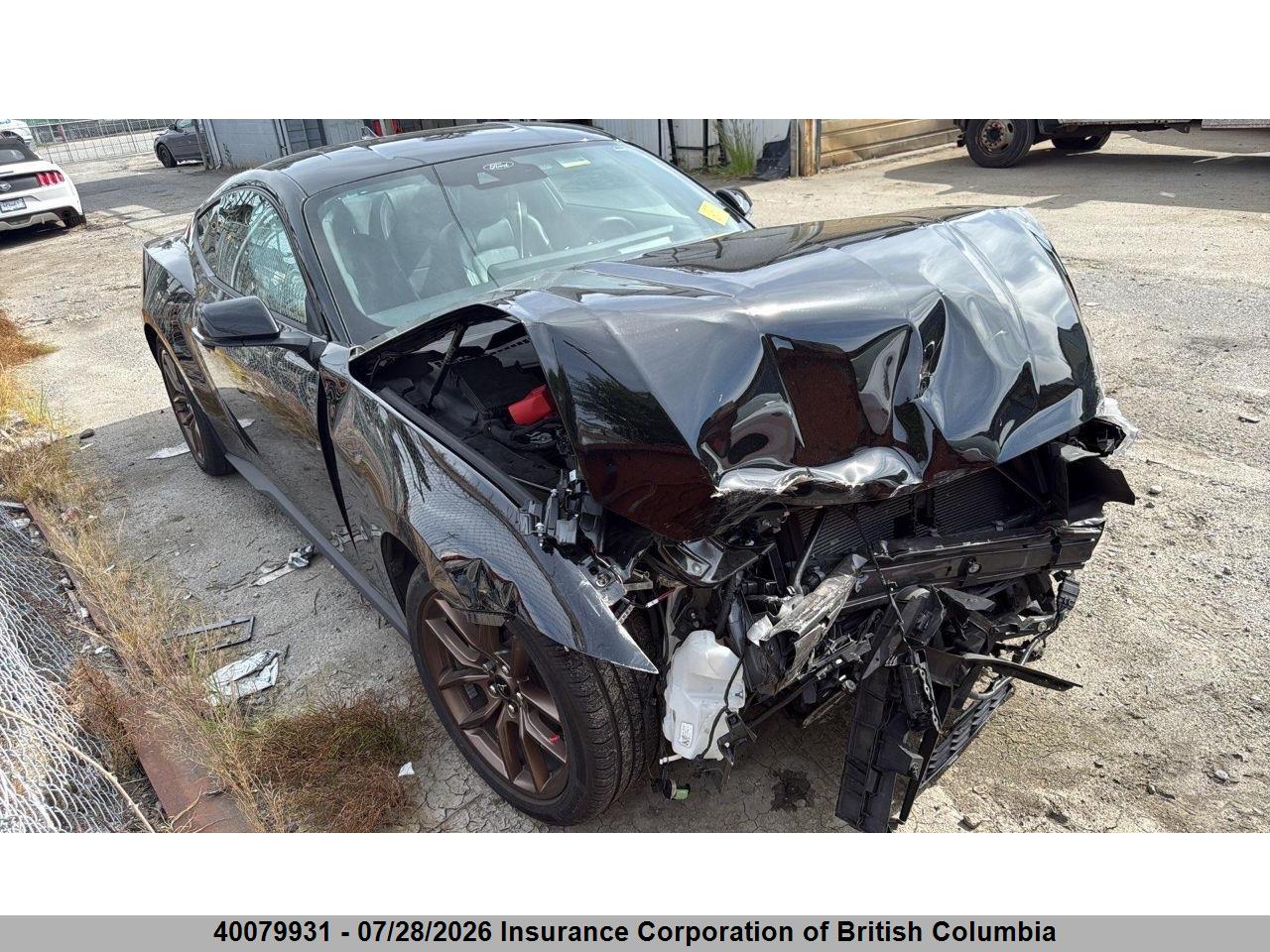 1FA6P8TH6S5109192 · 2025 FORD MUSTANG