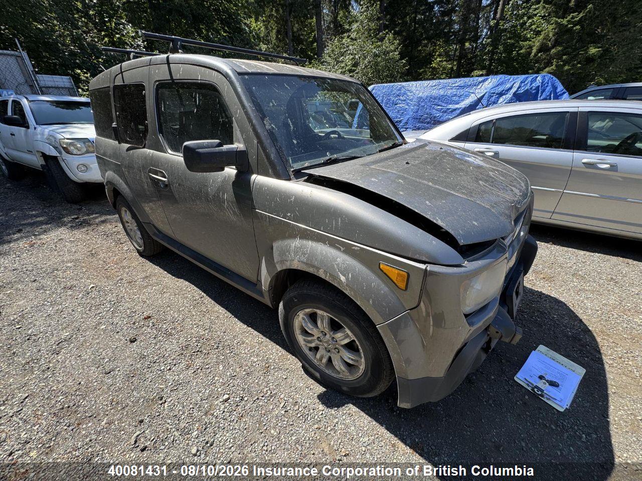 5J6YH18797L800446 · 2007 HONDA ELEMENT EX