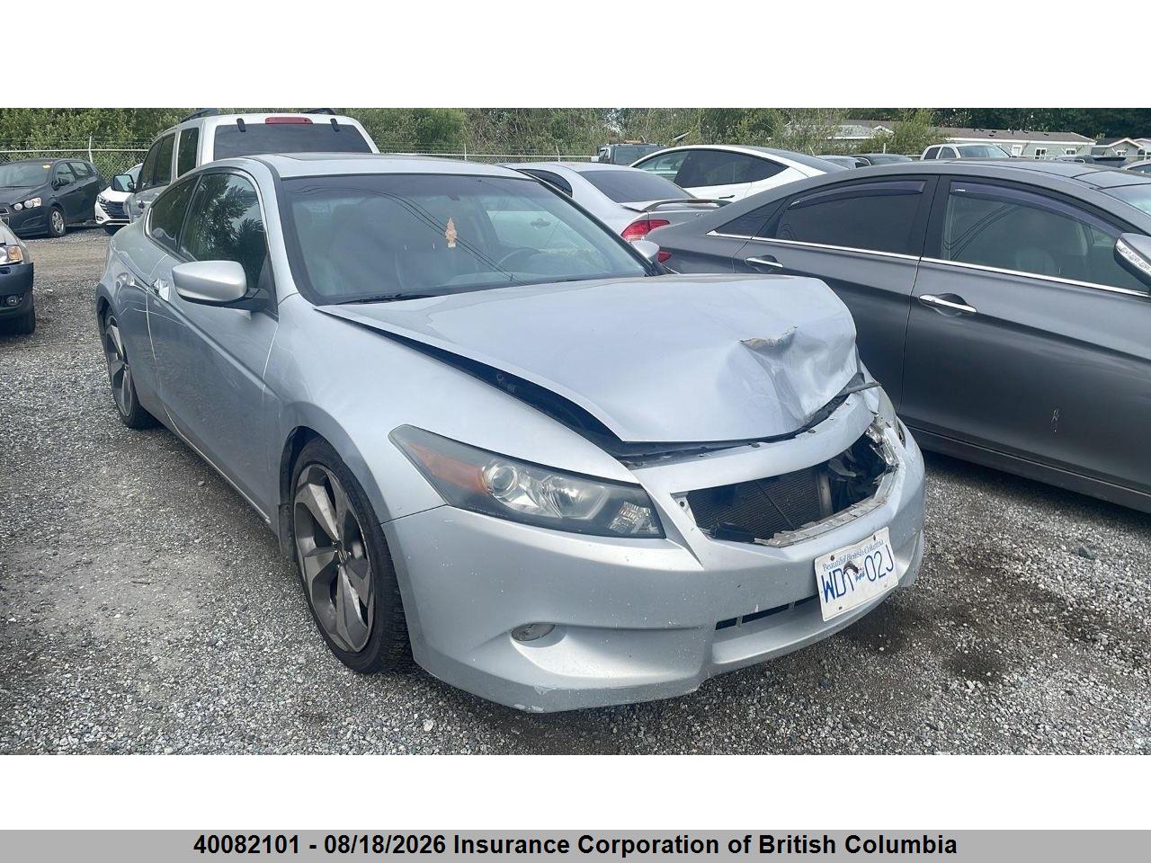 1HGCS22828A800134 · 2008 HONDA ACCORD EXL