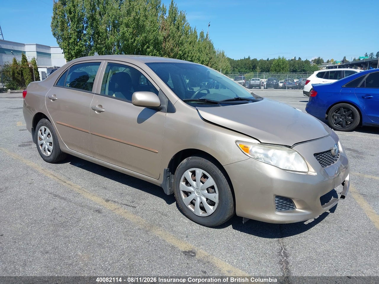 2T1BU40E69C103460 · 2009 TOYOTA COROLLA S/LE/XLE