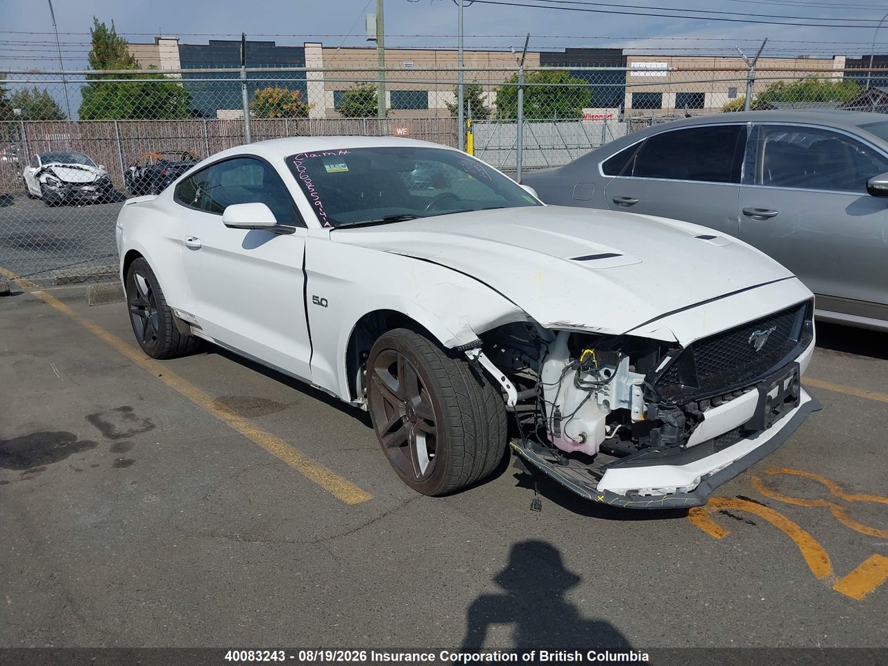 1FA6P8CF4K5176131 · 2019 FORD MUSTANG GT