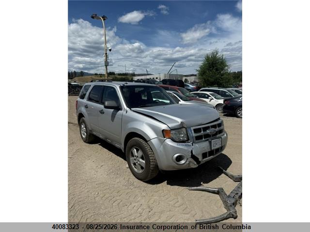 2009 FORD ESCAPE XLT