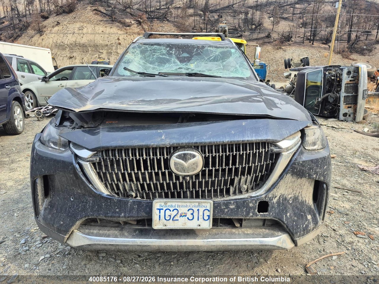 JM3KKDHA7S1225429 · 2025 MAZDA CX-90 PREMIUM · 6/17