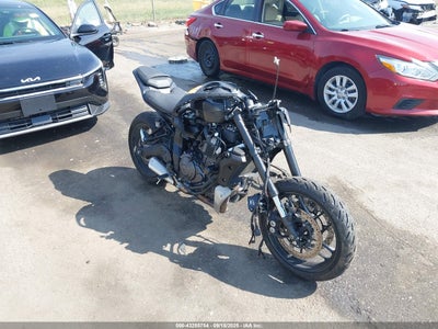 2025 YAMAHA MTN690