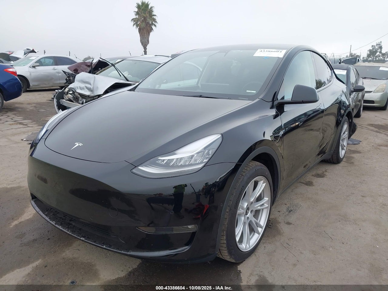 2021 TESLA MODEL Y LONG RANGE DUAL MOTOR ALL-WHEEL DRIVE · 2/11