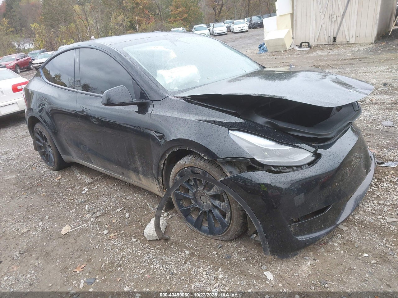 7SAYGDEE7PA****** · 2023 TESLA MODEL Y AWD/LONG RANGE DUAL MOTOR ALL-WHEEL DRIVE