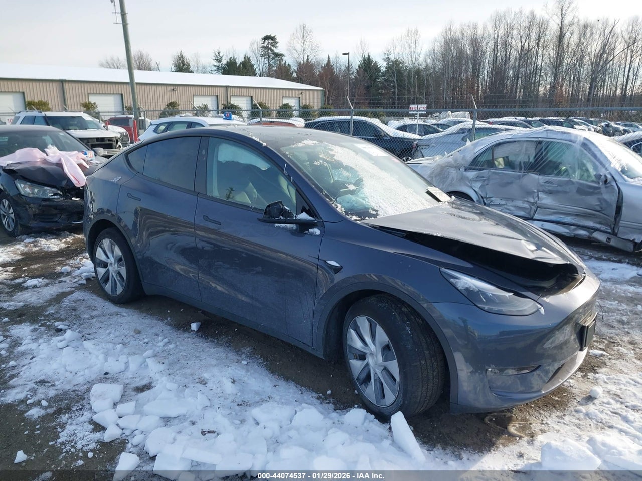 7SAYGDED7PF****** · 2023 TESLA MODEL Y RWD
