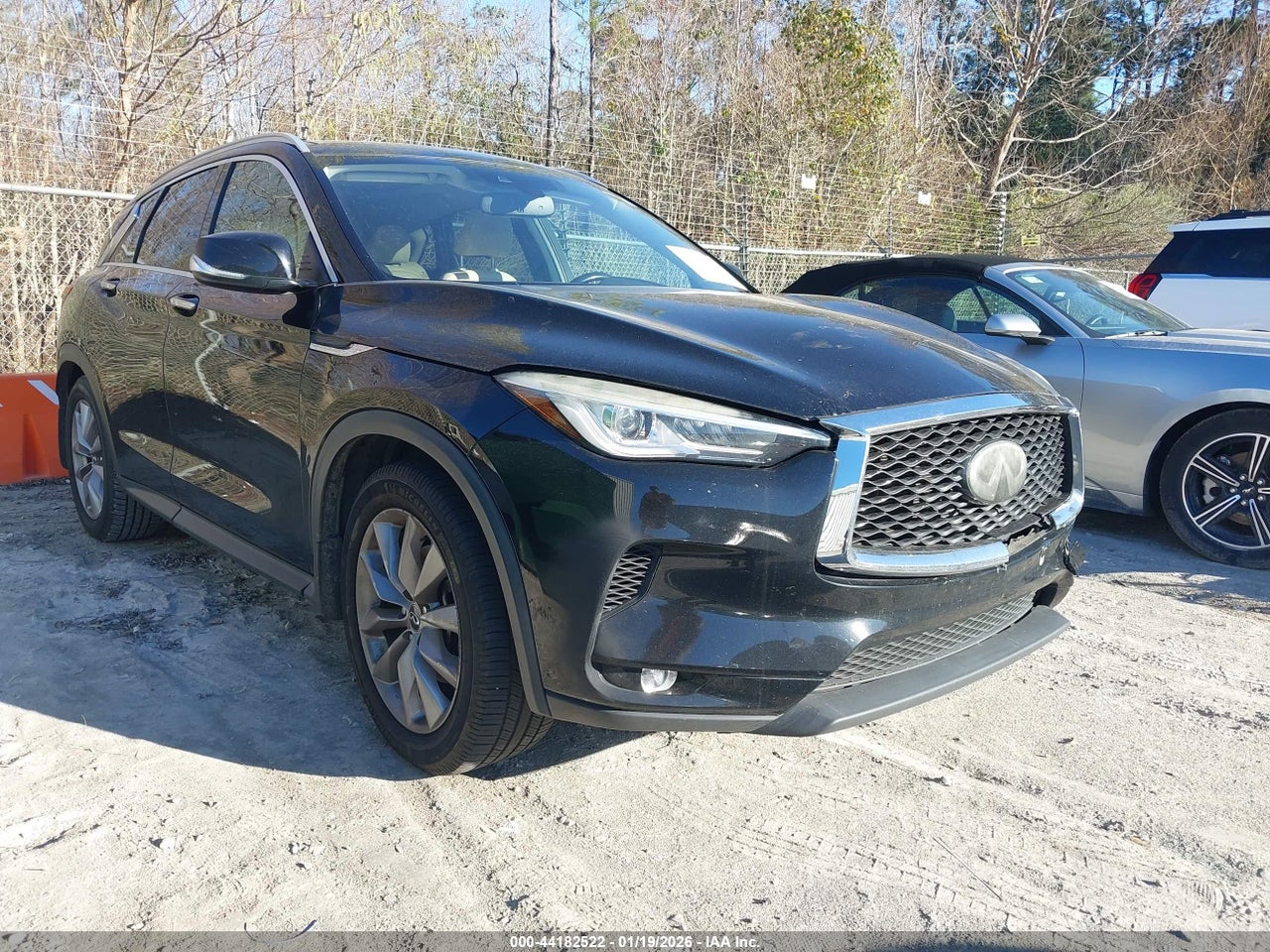 3PCAJ5M19KF****** · 2019 INFINITI QX50 LUXE