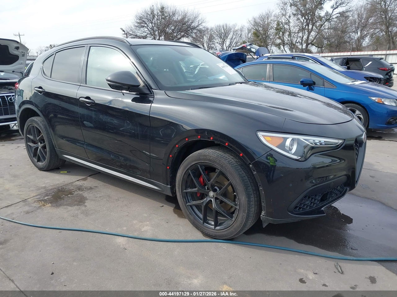 ZASPAJAN6K7****** · 2019 ALFA ROMEO STELVIO RWD