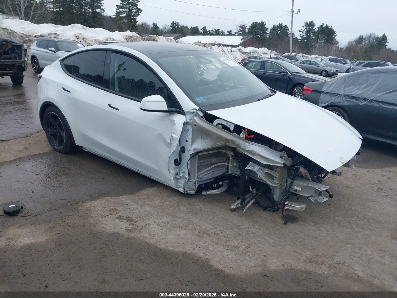 7SAYGDED3TA****** · 2026 TESLA MODEL Y PREMIUM REAR-WHEEL DRIVE/STANDARD REAR-WHEEL DRIVE