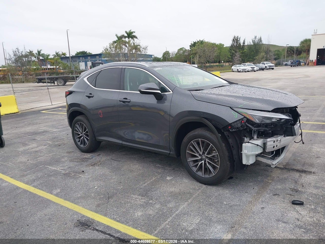 2T2GDCAZ4SC****** · 2025 LEXUS NX 250 PREMIUM