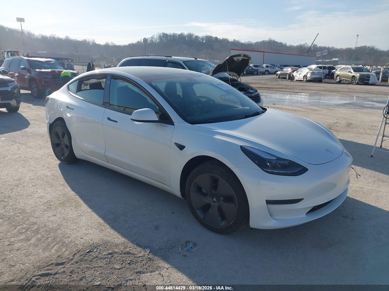 5YJ3E1EA5PF****** · 2023 TESLA MODEL 3 REAR-WHEEL DRIVE