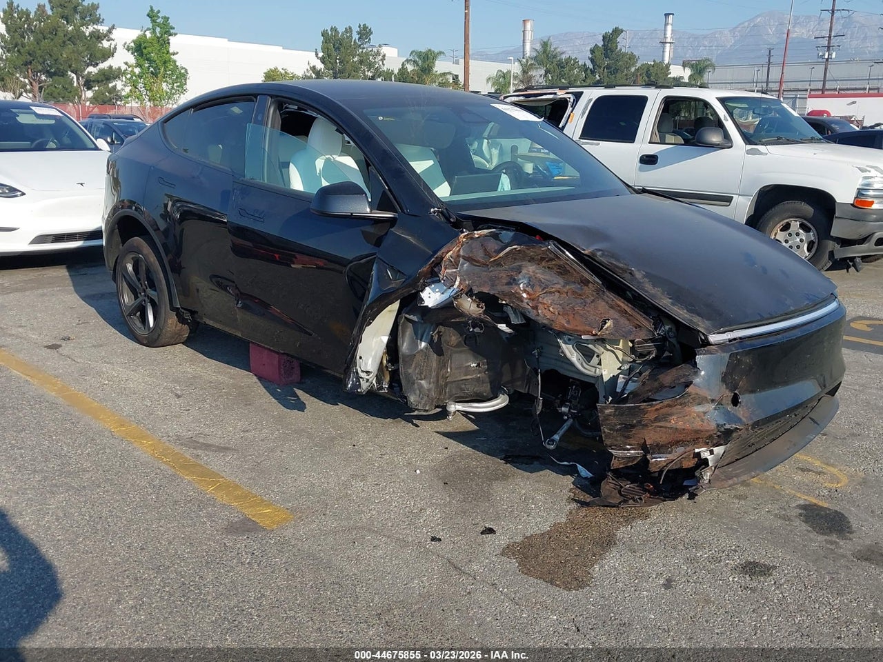 7SAYGDED1TF****** · 2026 TESLA MODEL Y PREMIUM REAR-WHEEL DRIVE/STANDARD REAR-WHEEL DRIVE