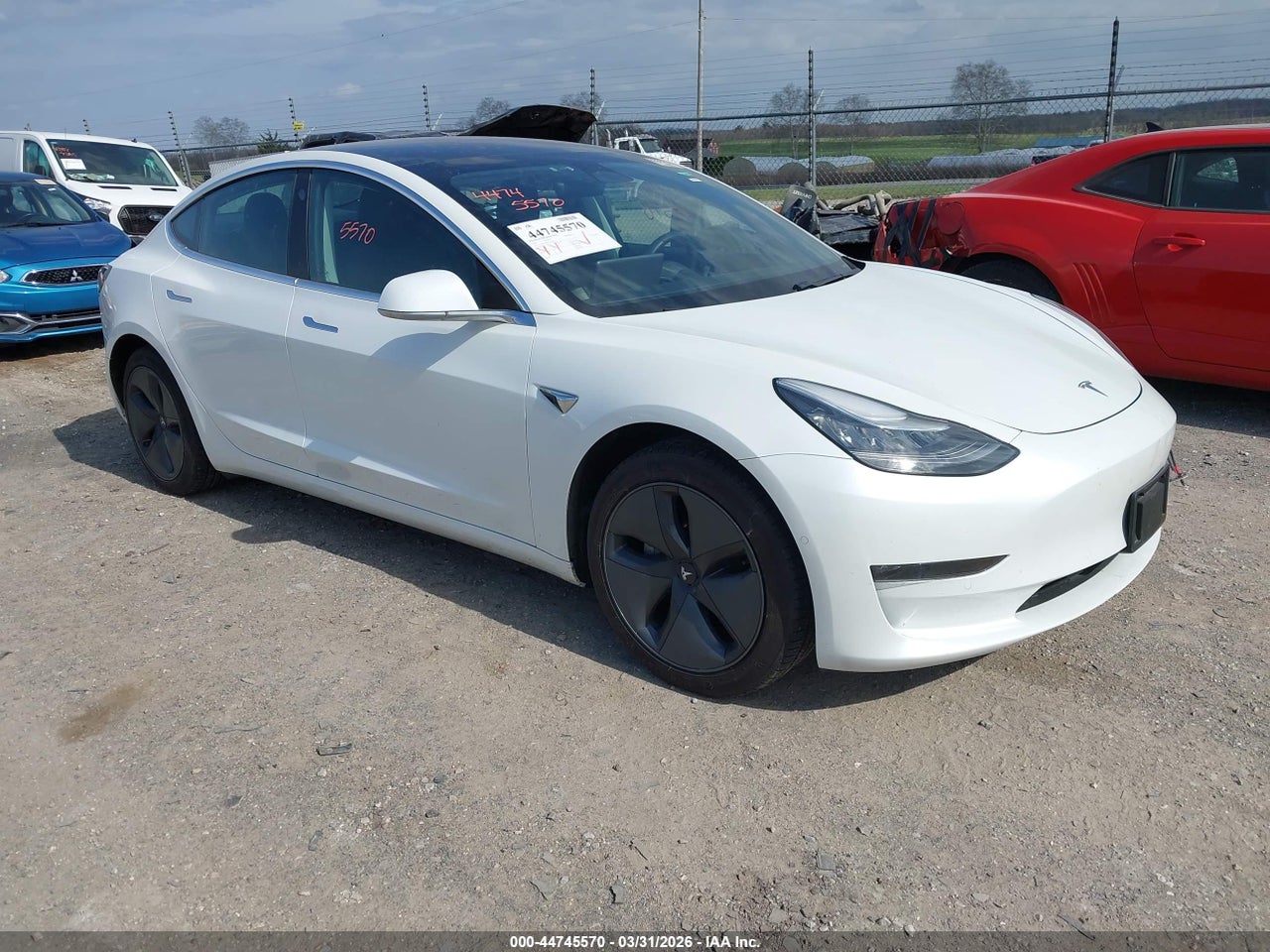 5YJ3E1EB2KF****** · 2019 TESLA MODEL 3 LONG RANGE/PERFORMANCE