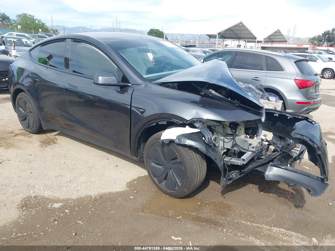 7SAYGDED9TF****** · 2026 TESLA MODEL Y PREMIUM REAR-WHEEL DRIVE/STANDARD REAR-WHEEL DRIVE