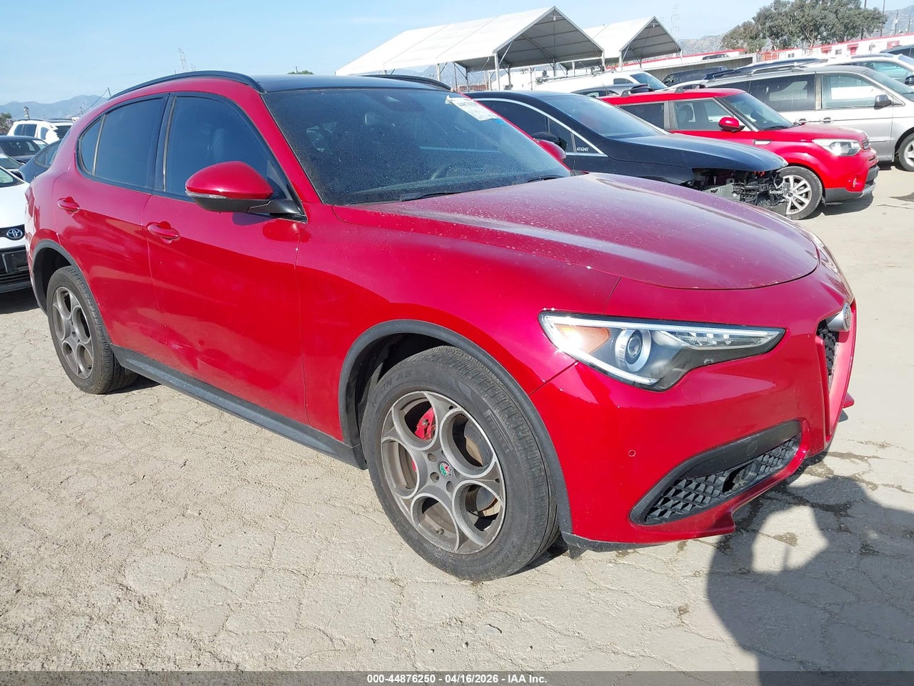 ZASPAKBN8K7****** · 2019 ALFA ROMEO STELVIO TI SPORT AWD
