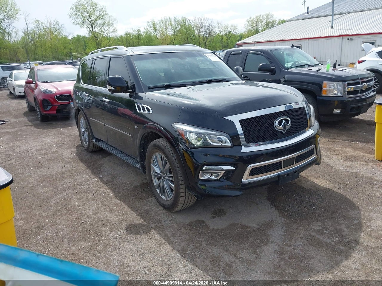 JN8AZ2NE3G9****** · 2016 INFINITI QX80