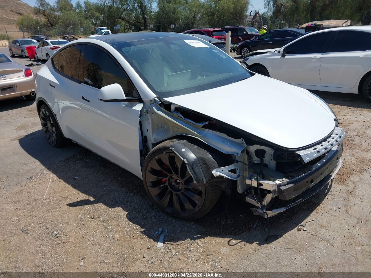 7SAYGDEF5RF****** · 2024 TESLA MODEL Y PERFORMANCE DUAL MOTOR ALL-WHEEL DRIVE
