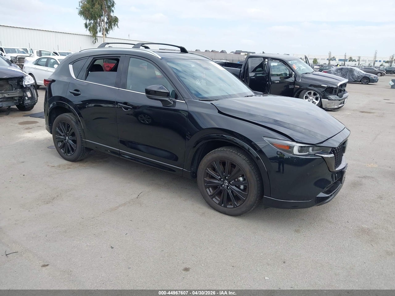 JM3KFBDY0S0****** · 2025 MAZDA CX-5 2.5 TURBO PREMIUM