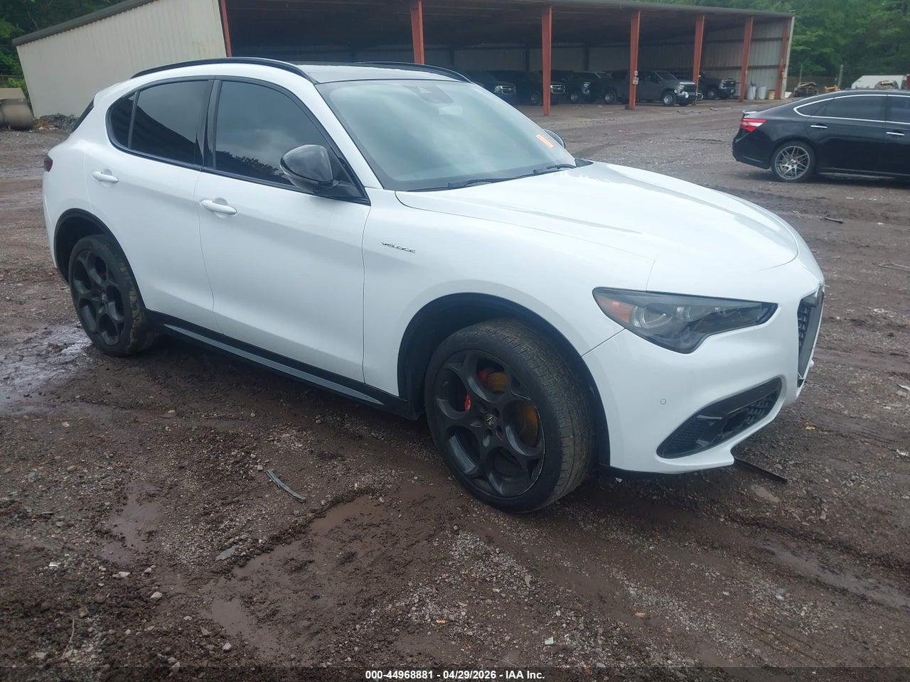 ZASPAKBN8R7****** · 2024 ALFA ROMEO STELVIO VELOCE AWD