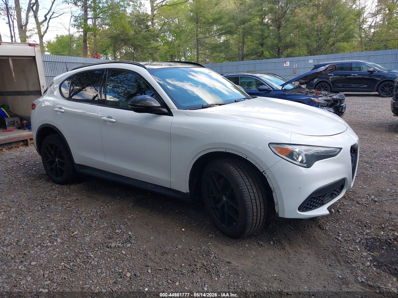 ZASPAKBN3K7****** · 2019 ALFA ROMEO STELVIO TI SPORT AWD