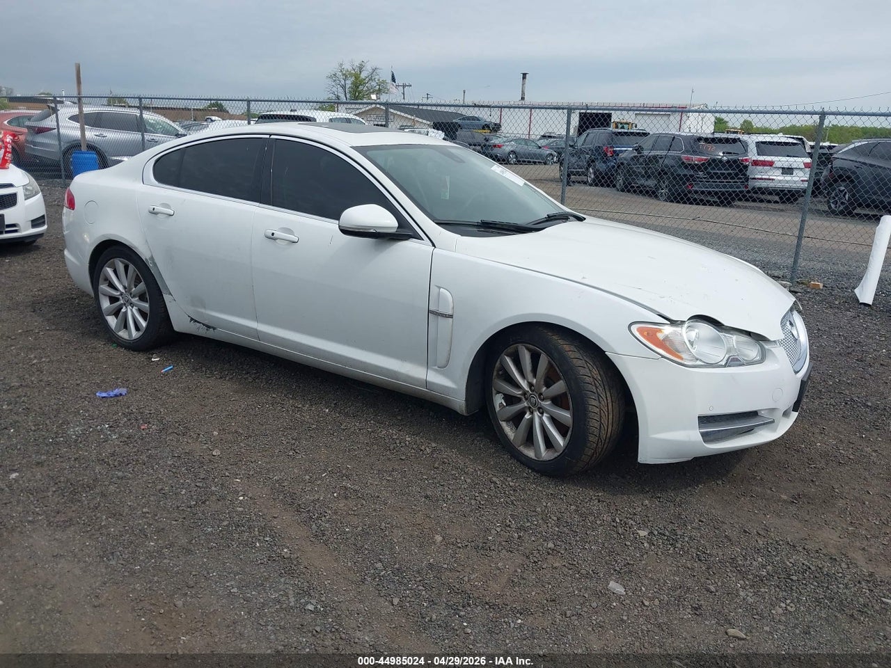 SAJWA0GB3BL****** · 2011 JAGUAR XF PREMIUM