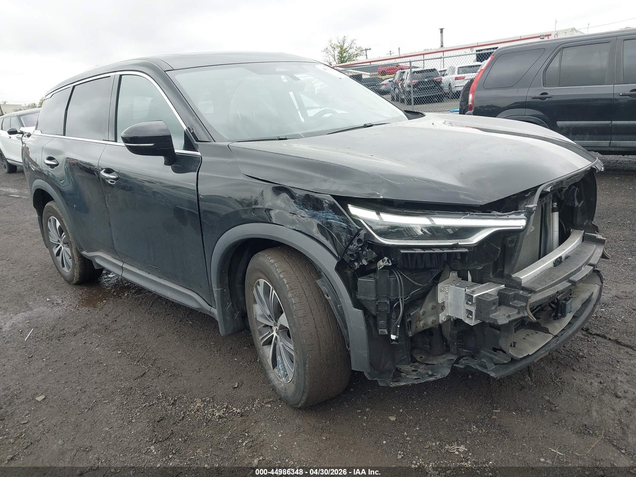 5N1DL1ES8RC****** · 2024 INFINITI QX60 PURE AWD