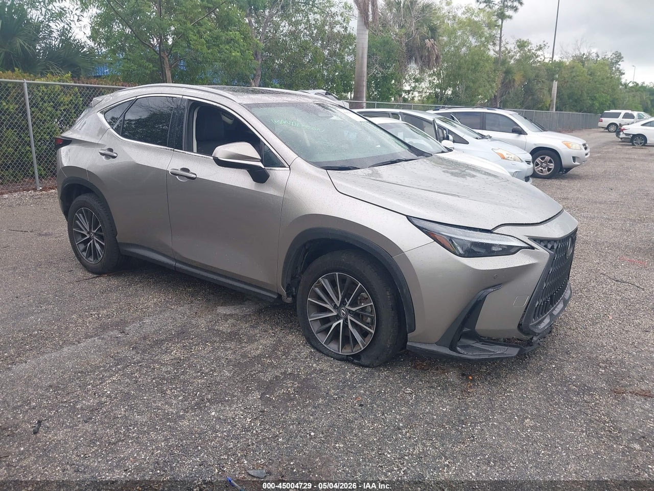 2T2GDCAZ6SC****** · 2025 LEXUS NX 250 PREMIUM