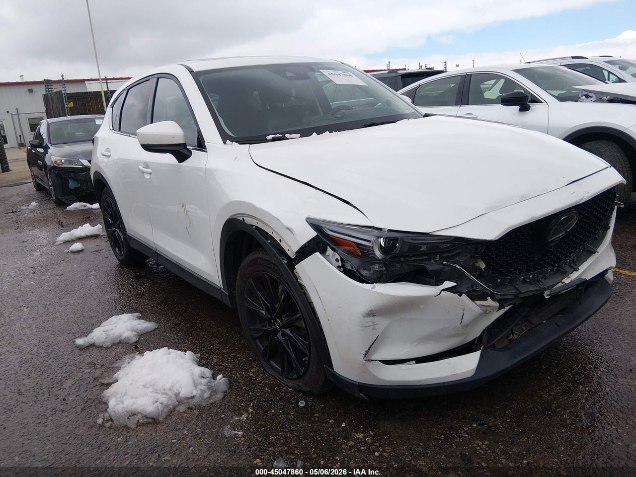 JM3KFBDM8K0****** · 2019 MAZDA CX-5 GRAND TOURING
