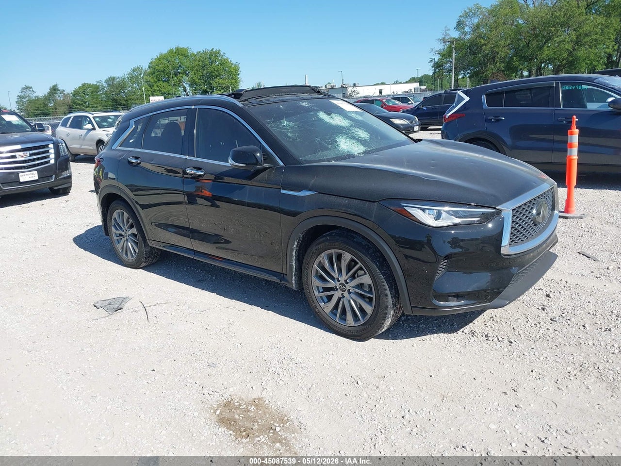 3PCAJ5BB8RF****** · 2024 INFINITI QX50 LUXE