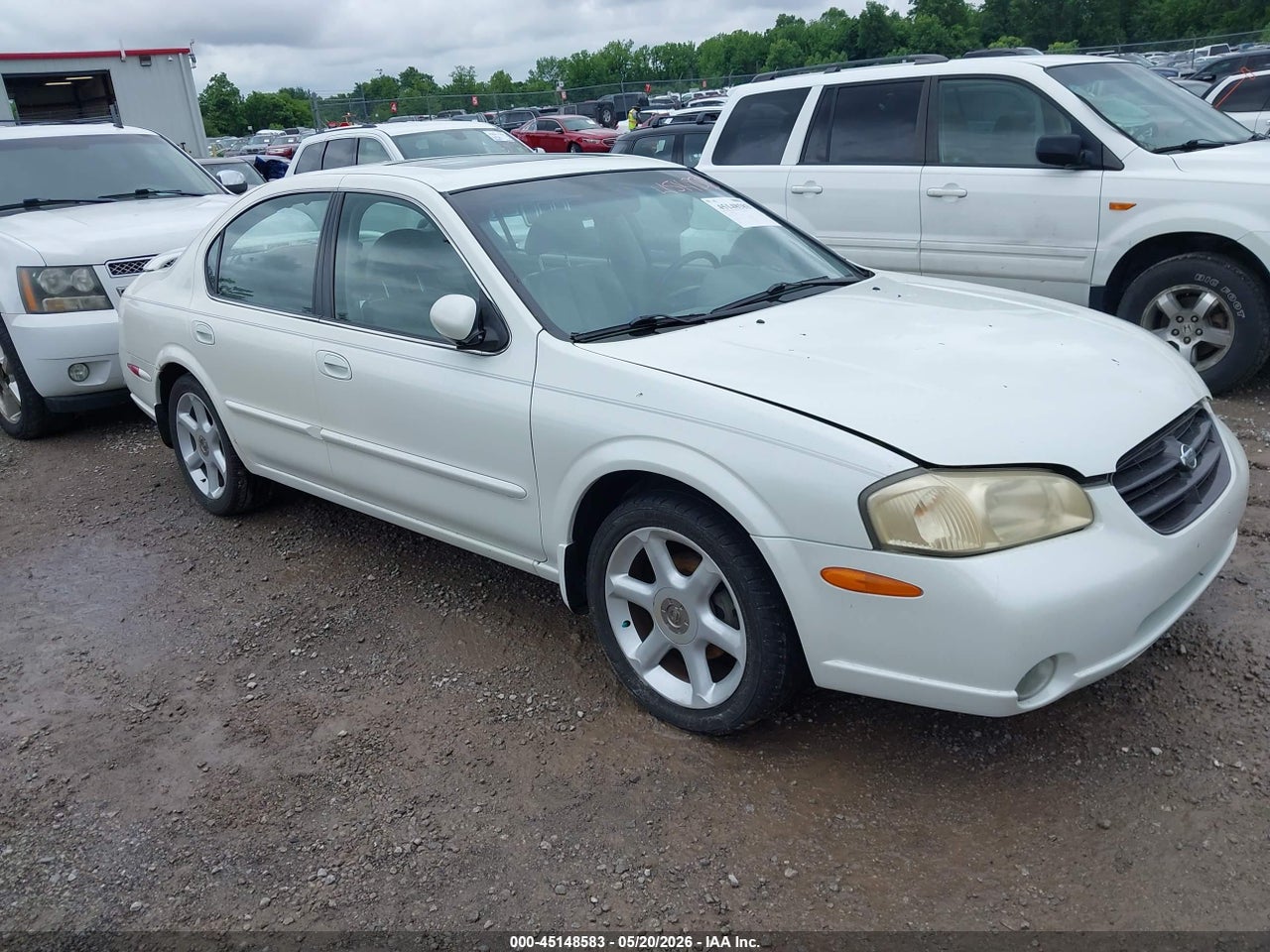 JN1CA31D11T****** · 2001 NISSAN MAXIMA SE