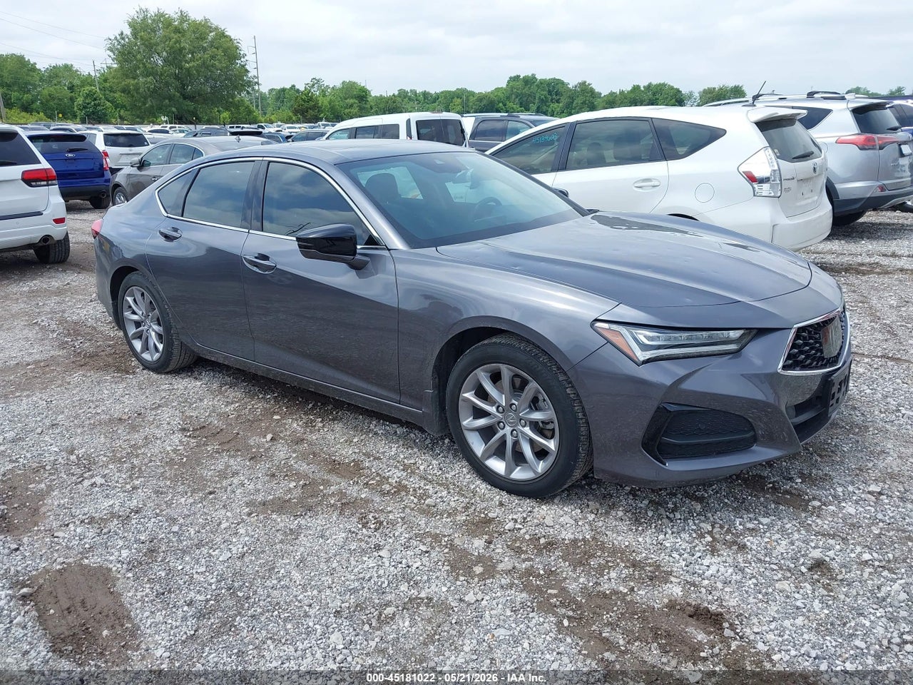 19UUB5F31PA****** · 2023 ACURA TLX STANDARD
