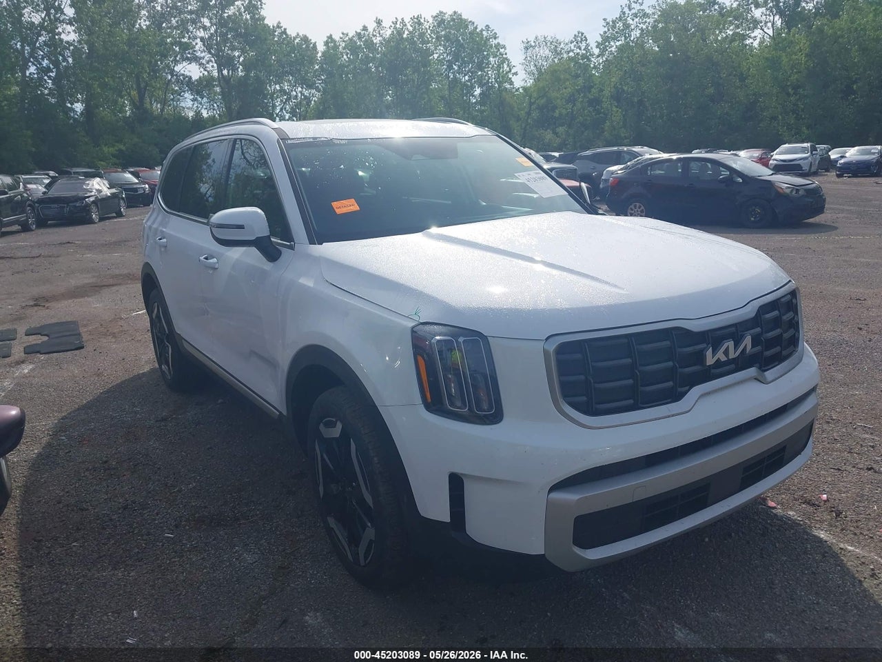 5XYP64GC5RG****** · 2024 KIA TELLURIDE S