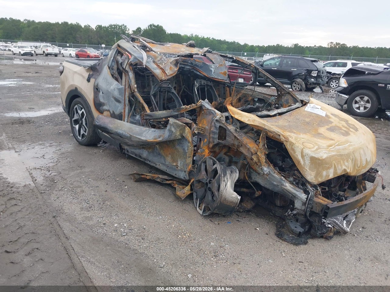 5NTJEDAF3RH****** · 2024 HYUNDAI SANTA CRUZ LIMITED
