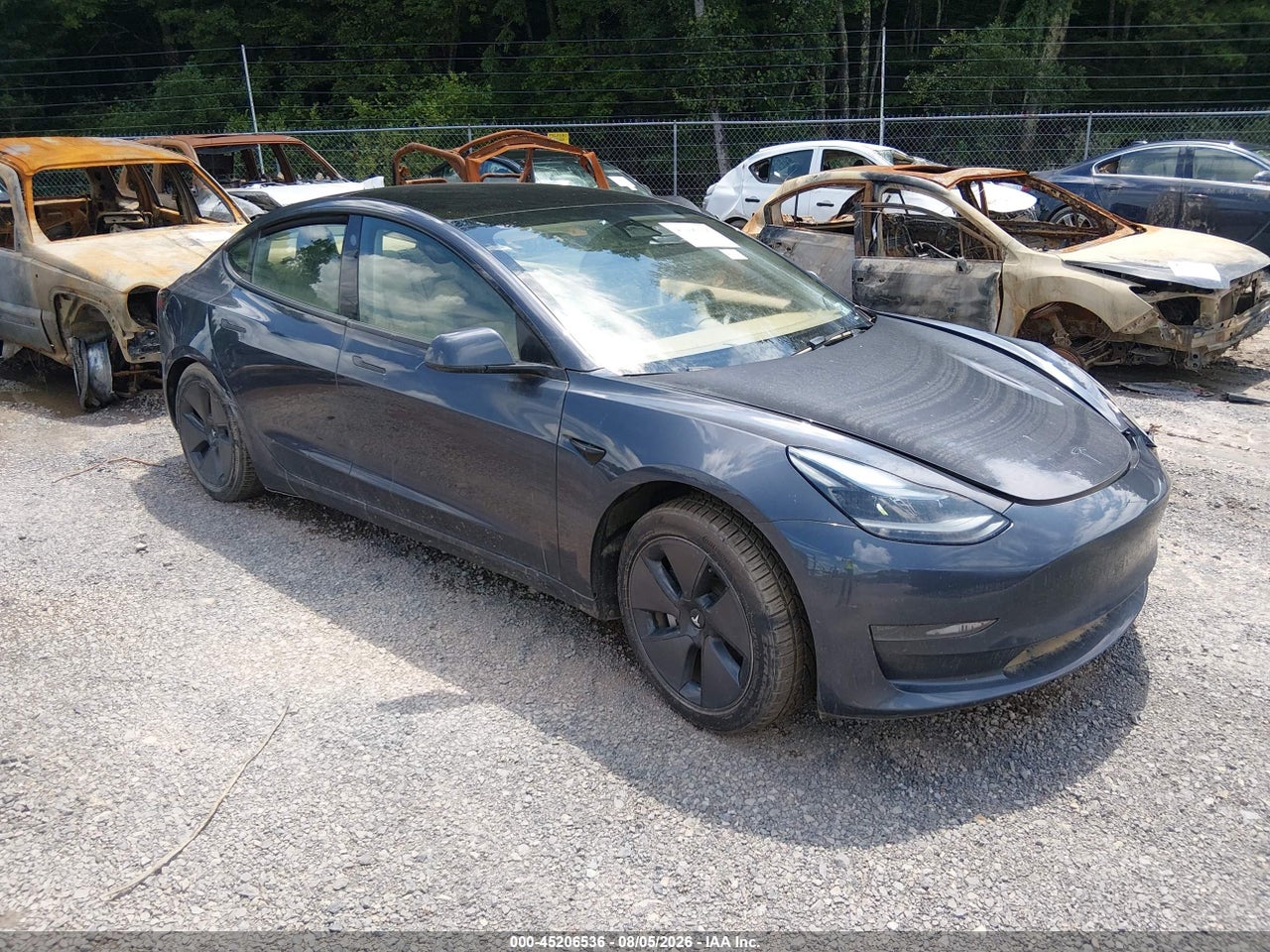 5YJ3E1EA4PF****** · 2023 TESLA MODEL 3 REAR-WHEEL DRIVE