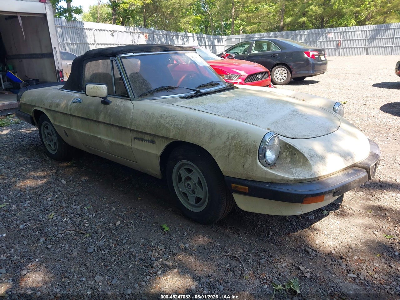 1984 ALFA ROMEO VELOCE 2000 SPIDER