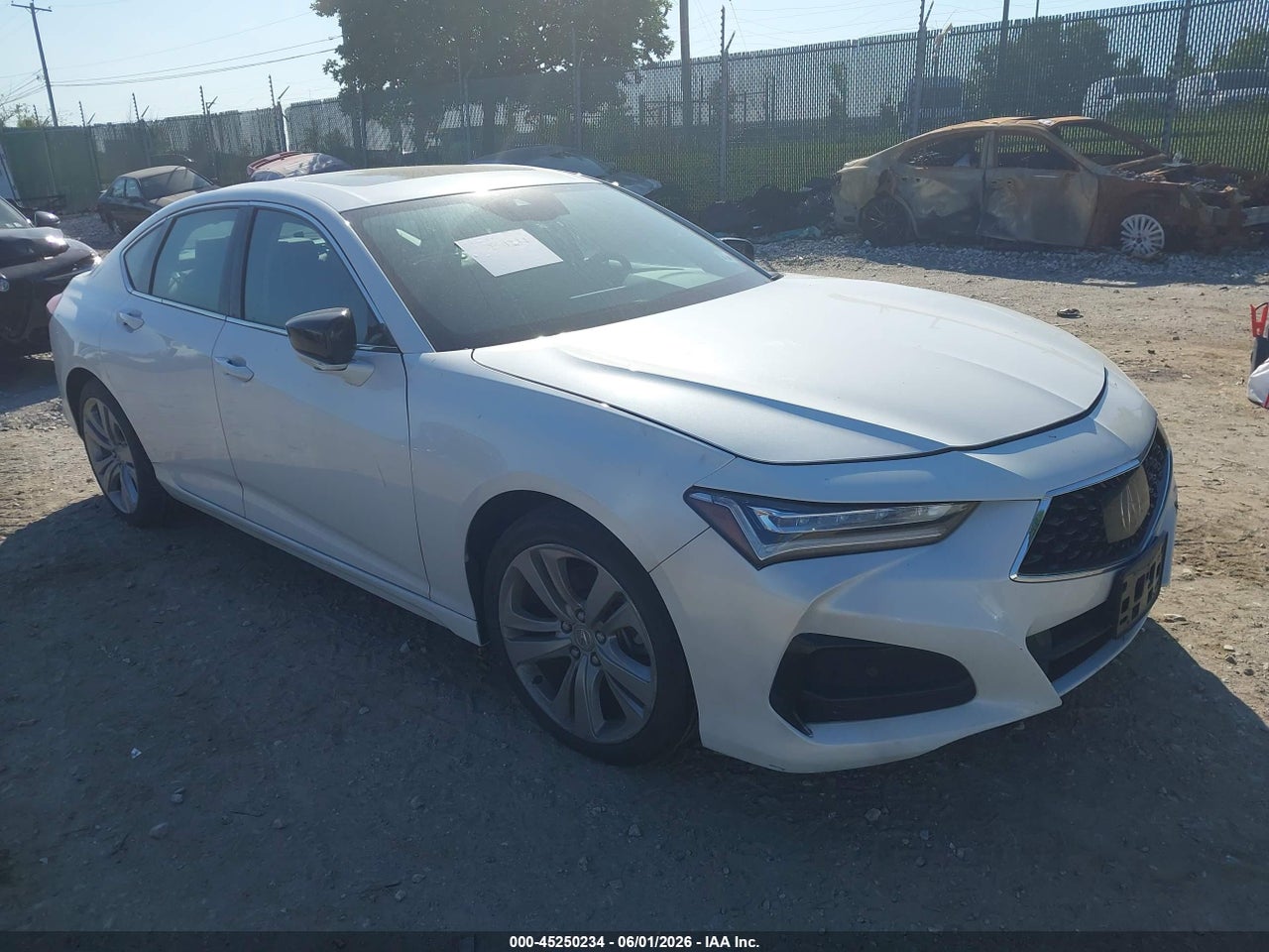 19UUB5F49MA****** · 2021 ACURA TLX TECHNOLOGY PACKAGE