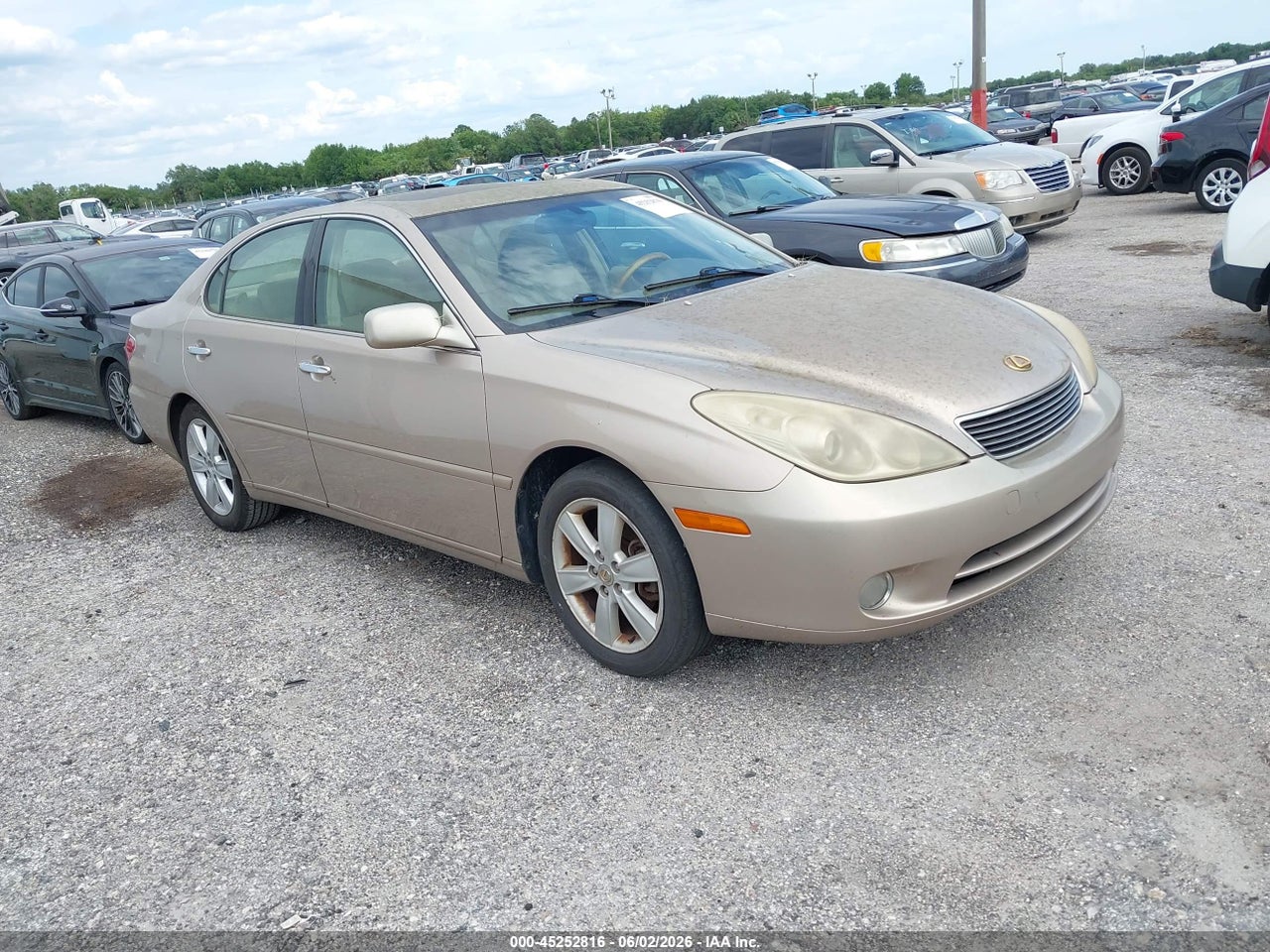 JTHBA30G665****** · 2006 LEXUS ES 330