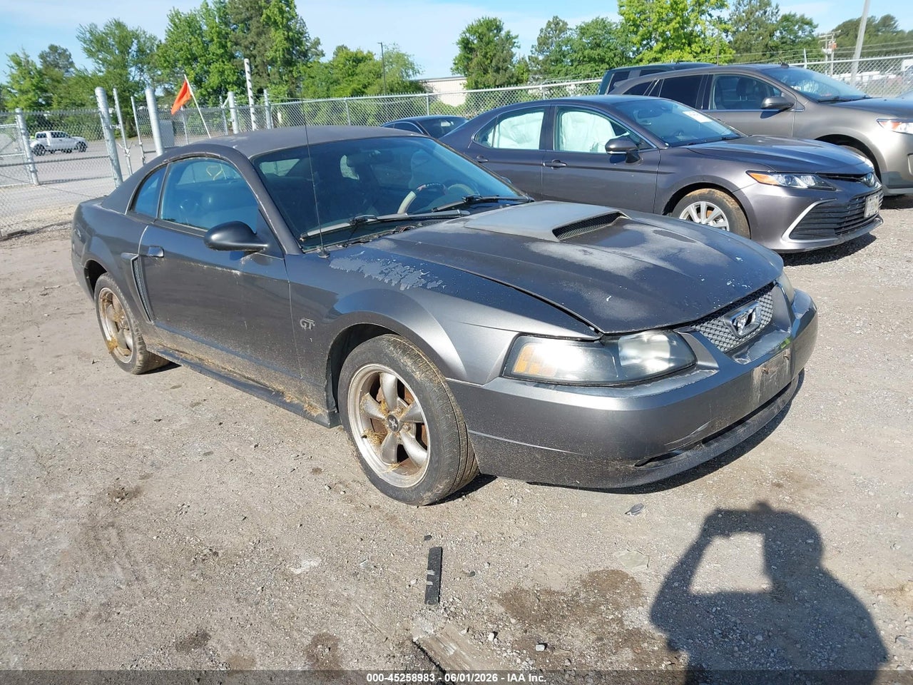 1FAFP42X33F****** · 2003 FORD MUSTANG GT