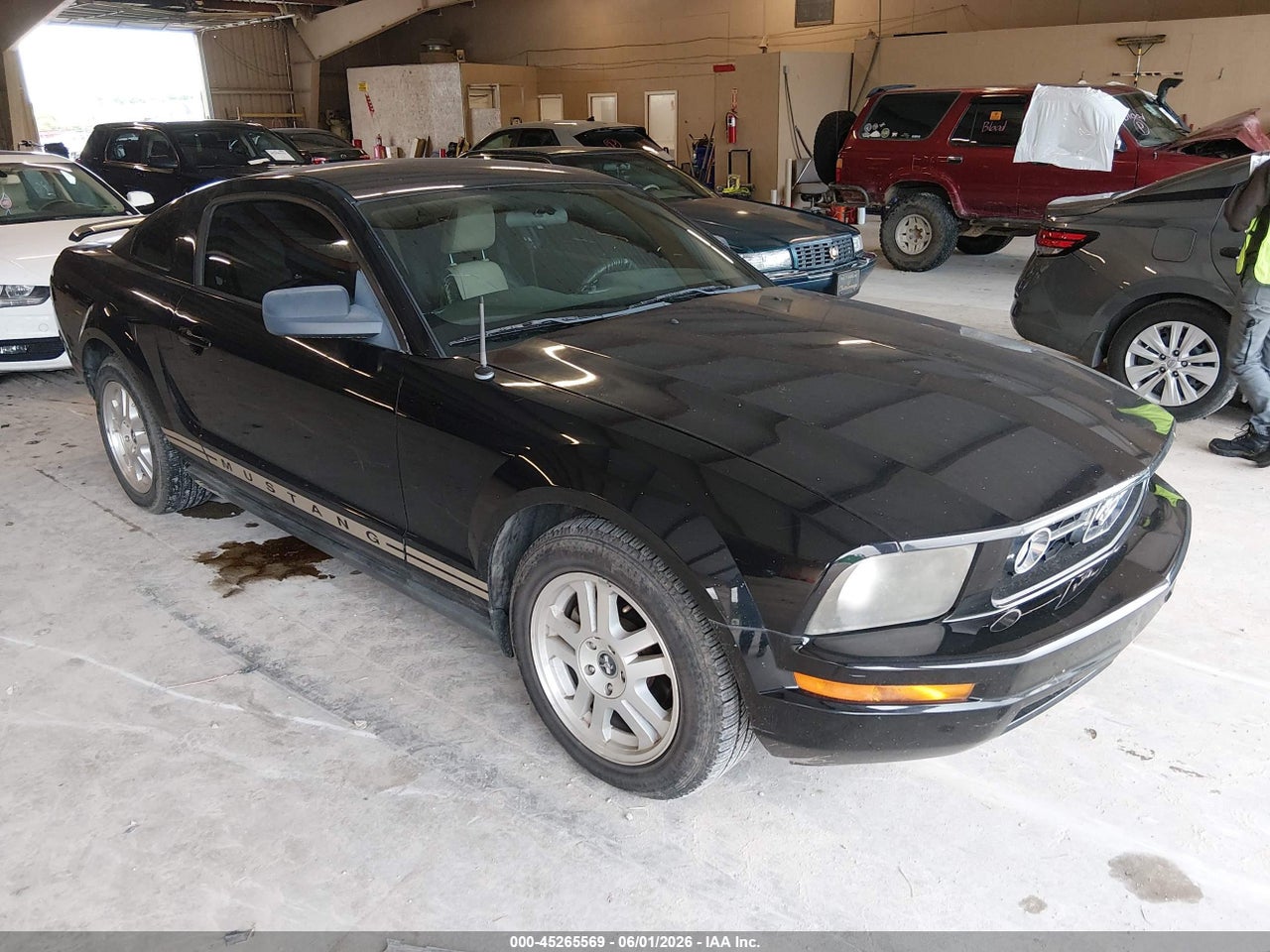 1ZVFT80NX65****** · 2006 FORD MUSTANG V6