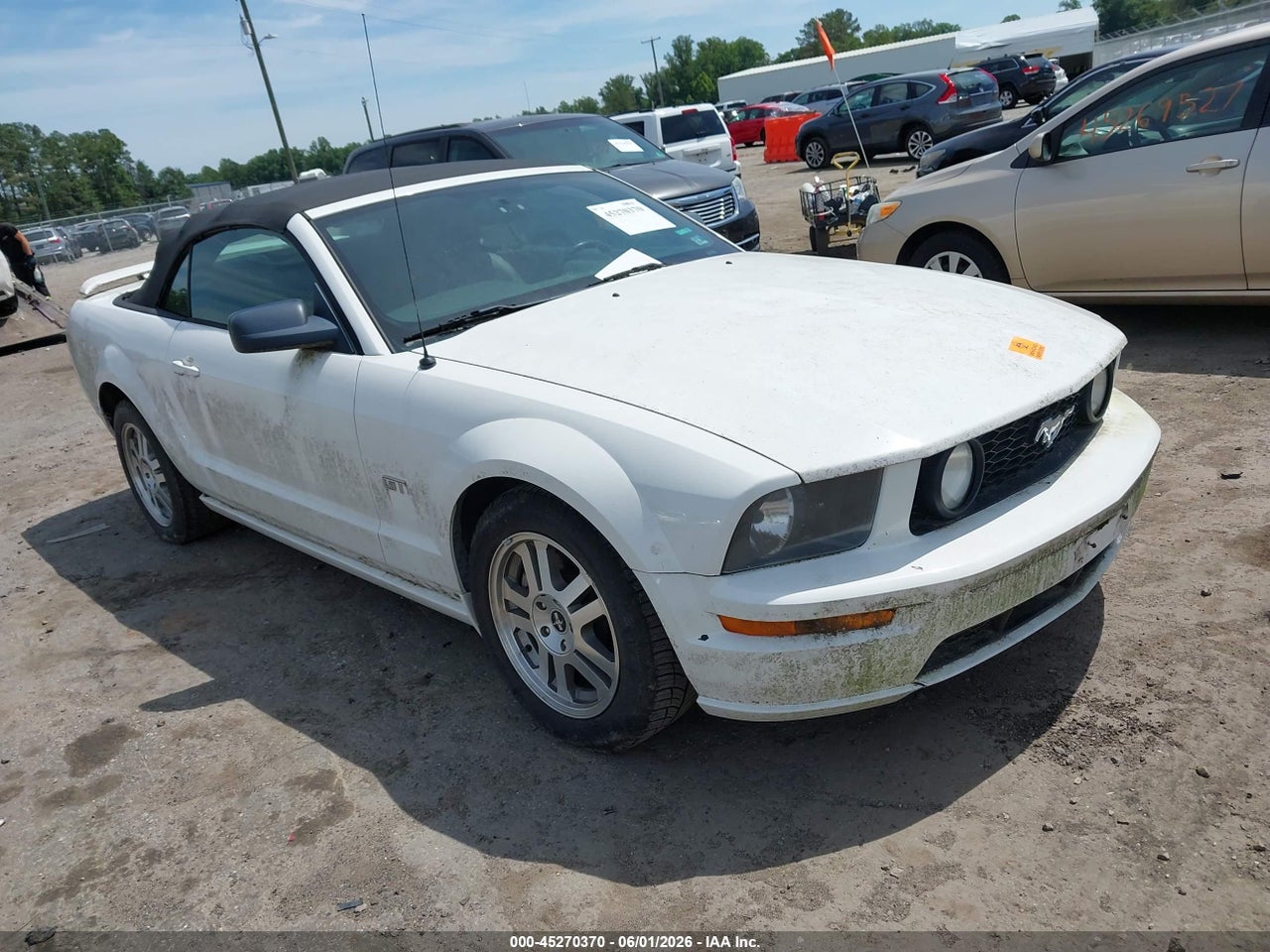 1ZVHT85H065****** · 2006 FORD MUSTANG GT