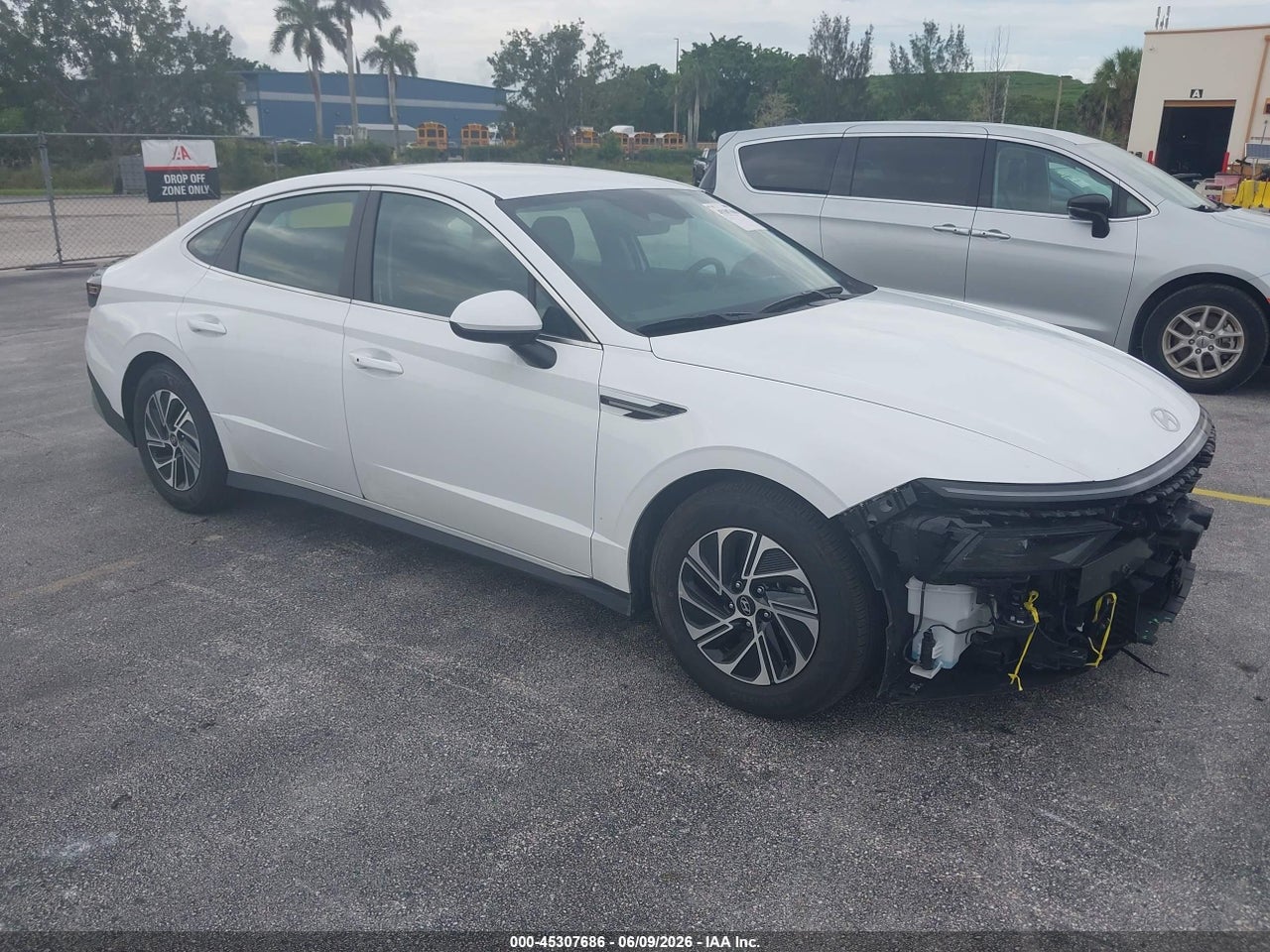 KMHL24JJ3TA****** · 2026 HYUNDAI SONATA HYBRID BLUE