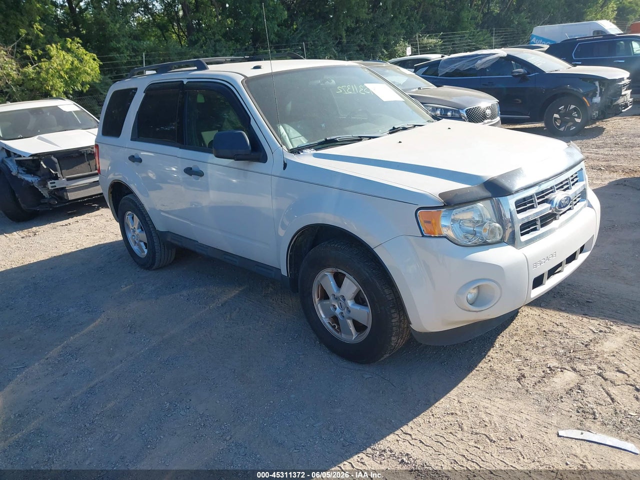 1FMCU0D74BK****** · 2011 FORD ESCAPE XLT AUTOMATIC