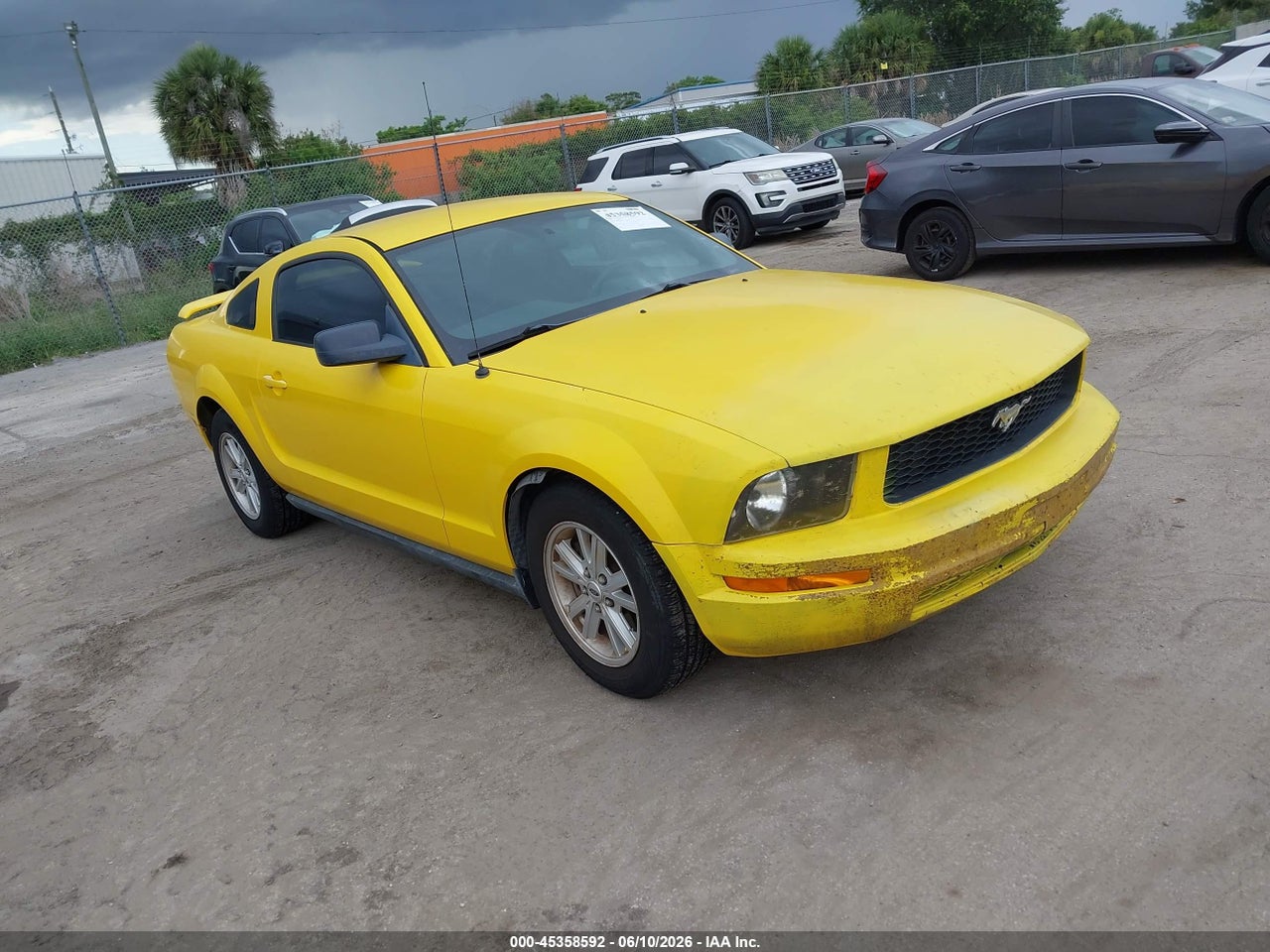 1ZVFT80N755****** · 2005 FORD MUSTANG V6 DELUXE/V6 PREMIUM