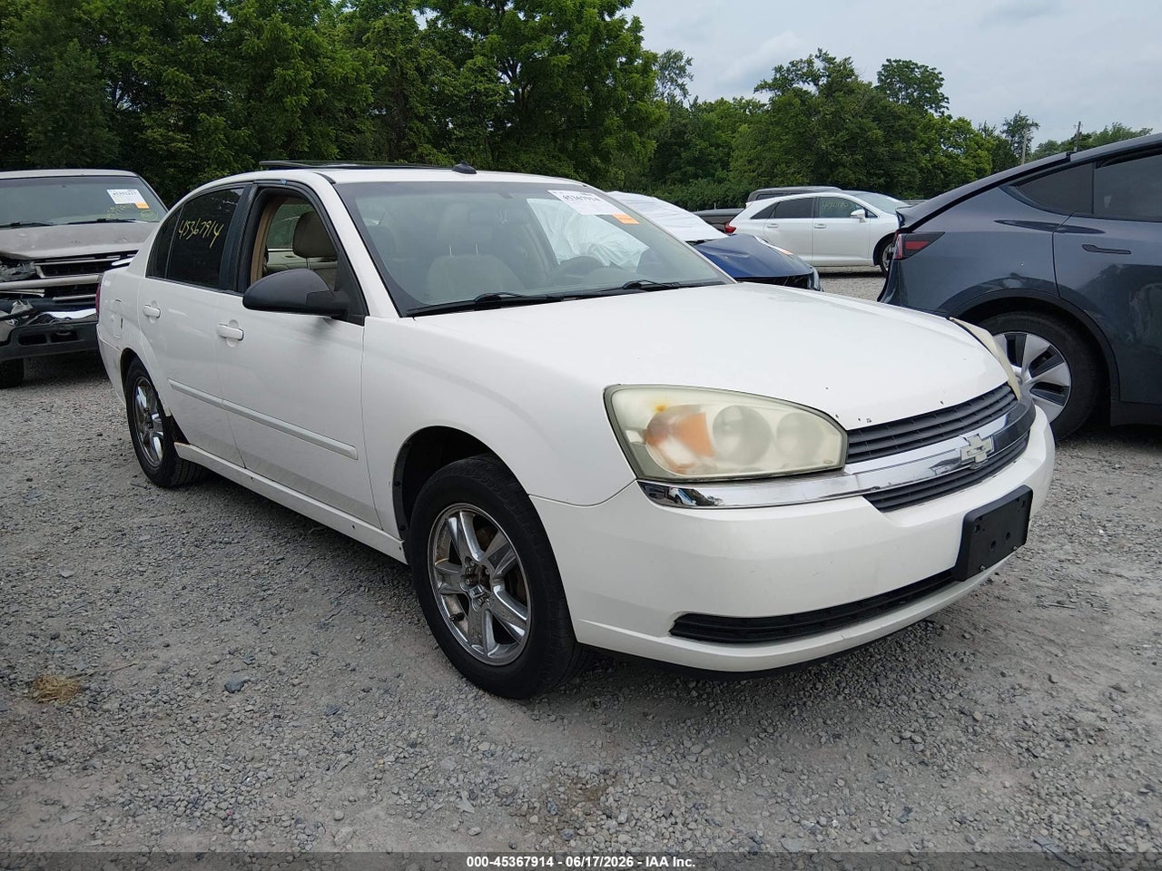 1G1ZT54885F****** · 2005 CHEVROLET MALIBU LS