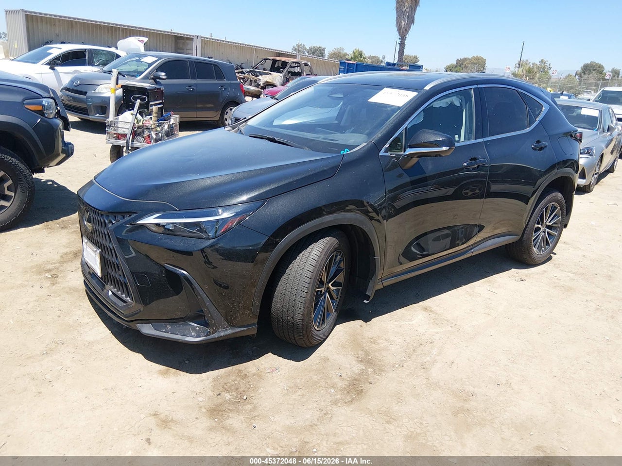 2025 LEXUS NX 350H PREMIUM · 2/11