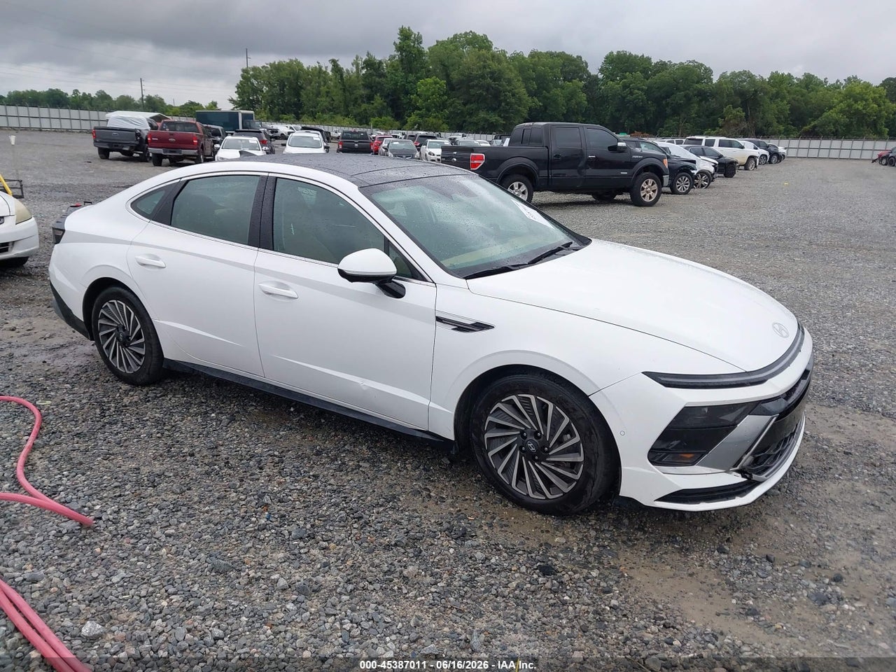 KMHL54JJ4RA****** · 2024 HYUNDAI SONATA HYBRID LIMITED