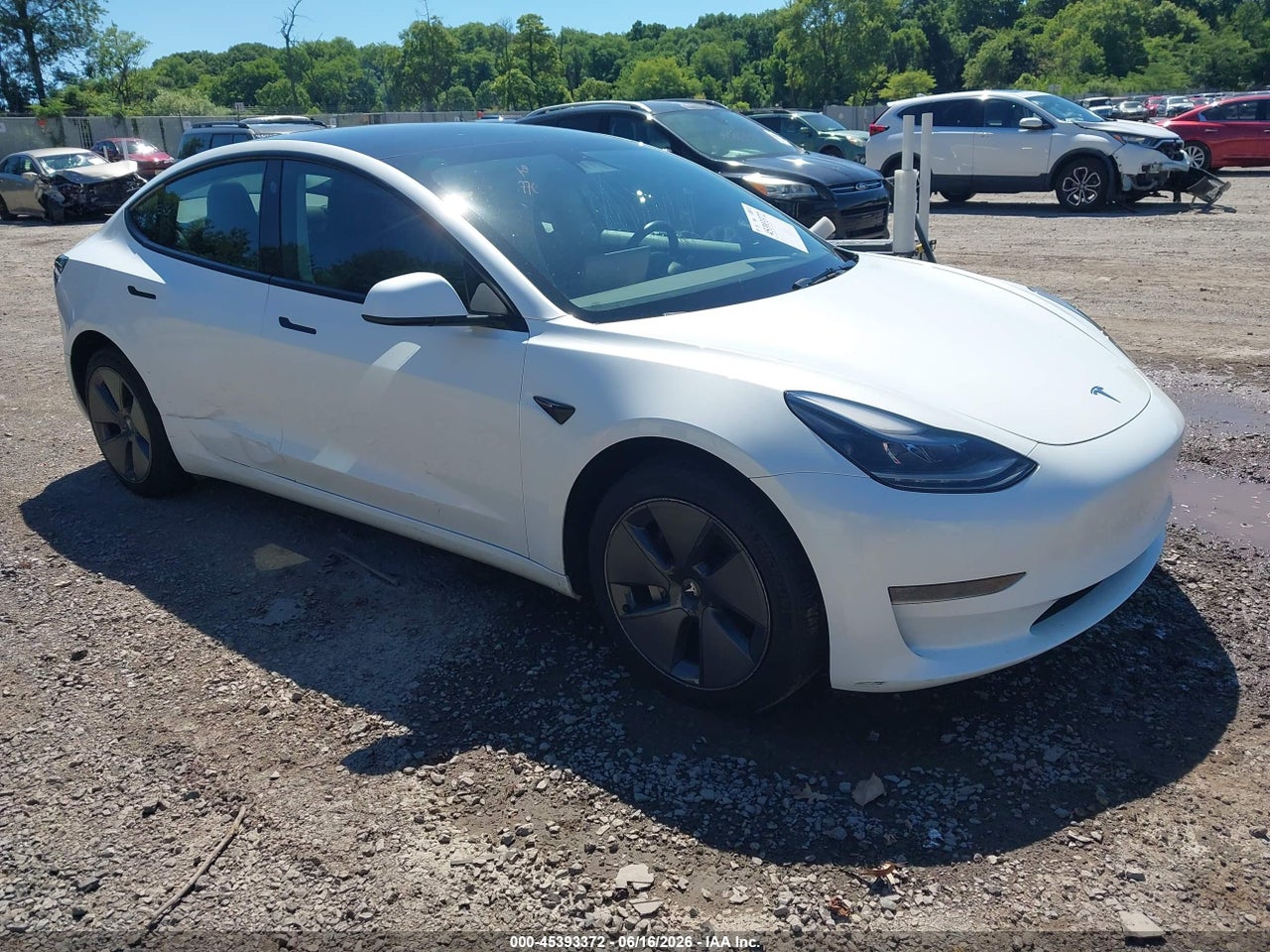 5YJ3E1EA6PF****** · 2023 TESLA MODEL 3 REAR-WHEEL DRIVE