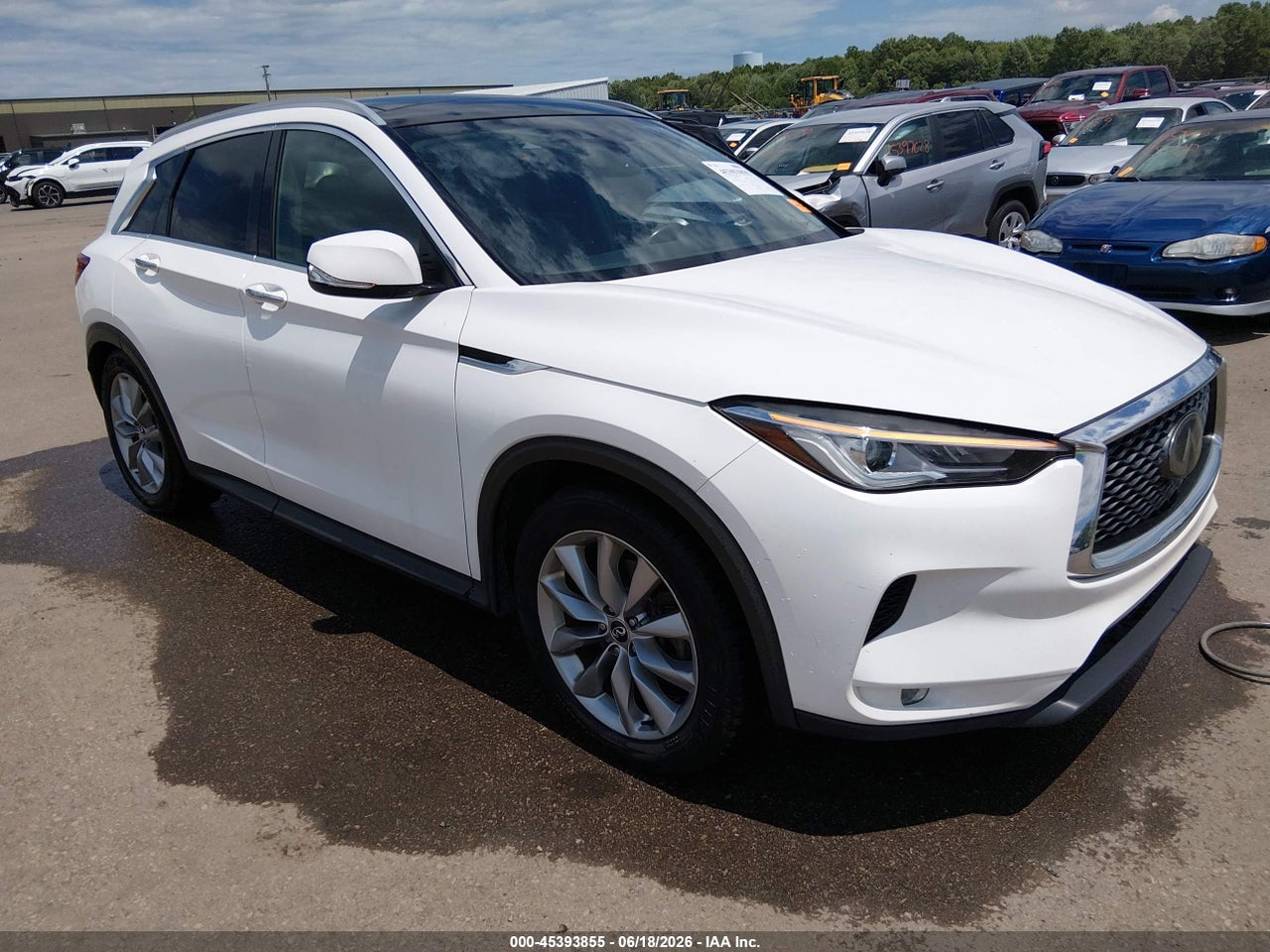 3PCAJ5M33KF****** · 2019 INFINITI QX50 LUXE