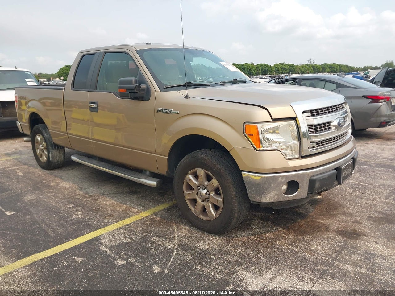 1FTFX1EF5DF****** · 2013 FORD F-150 XLT